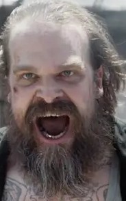 Foto de David Harbour